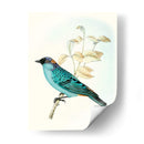 En Percha Xii | Cuadro decorativo de Canvas Lab