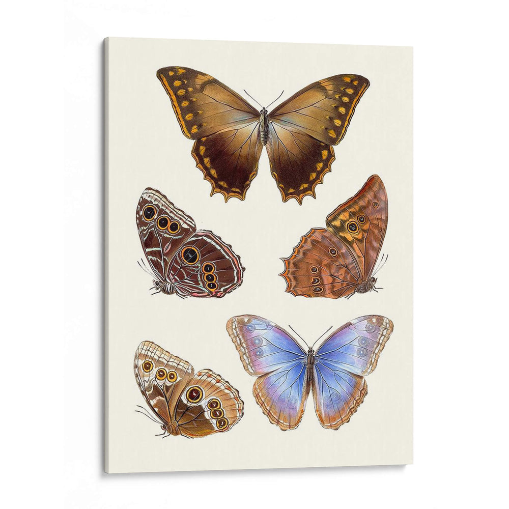 Mariposas Violetas I | Cuadro decorativo de Canvas Lab