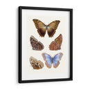 Mariposas Violetas I | Cuadro decorativo de Canvas Lab
