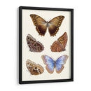 Mariposas Violetas I | Cuadro decorativo de Canvas Lab