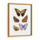 Mariposas Violetas I | Cuadro decorativo de Canvas Lab