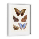 Mariposas Violetas I | Cuadro decorativo de Canvas Lab