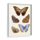 Mariposas Violetas I | Cuadro decorativo de Canvas Lab