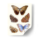 Mariposas Violetas I | Cuadro decorativo de Canvas Lab