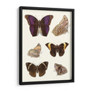 Mariposas Violetas Ii | Cuadro decorativo de Canvas Lab