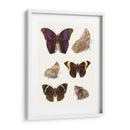Mariposas Violetas Ii | Cuadro decorativo de Canvas Lab
