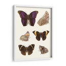 Mariposas Violetas Ii | Cuadro decorativo de Canvas Lab