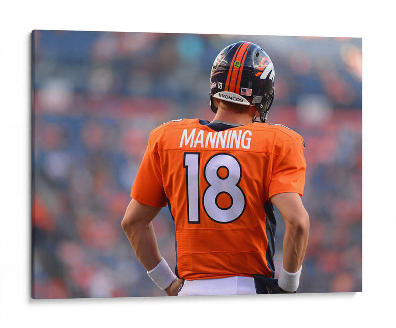 18 Manning | Cuadro decorativo de Canvas Lab