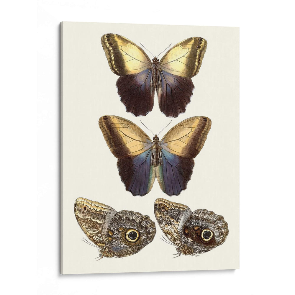 Mariposas Violetas Iii | Cuadro decorativo de Canvas Lab