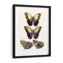 Mariposas Violetas Iii | Cuadro decorativo de Canvas Lab