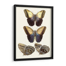 Mariposas Violetas Iii | Cuadro decorativo de Canvas Lab