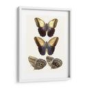 Mariposas Violetas Iii | Cuadro decorativo de Canvas Lab