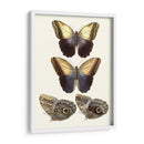 Mariposas Violetas Iii | Cuadro decorativo de Canvas Lab