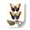 Mariposas Violetas Iii | Cuadro decorativo de Canvas Lab