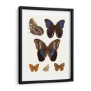 Mariposas Violetas Iv | Cuadro decorativo de Canvas Lab