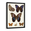 Mariposas Violetas Iv | Cuadro decorativo de Canvas Lab