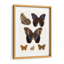 Mariposas Violetas Iv | Cuadro decorativo de Canvas Lab