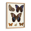 Mariposas Violetas Iv | Cuadro decorativo de Canvas Lab