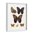 Mariposas Violetas Iv | Cuadro decorativo de Canvas Lab
