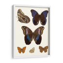 Mariposas Violetas Iv | Cuadro decorativo de Canvas Lab