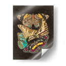 Patrones Alados I - Eugene Seguy | Cuadro decorativo de Canvas Lab