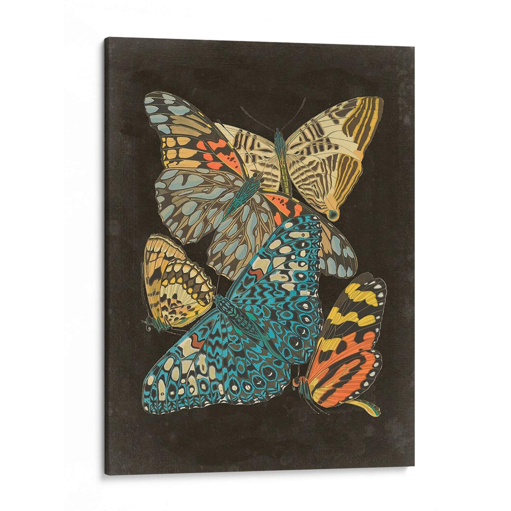 Patrones Alados Ii - Eugene Seguy | Cuadro decorativo de Canvas Lab