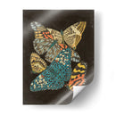 Patrones Alados Ii - Eugene Seguy | Cuadro decorativo de Canvas Lab