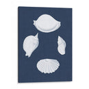 Cochillages Blancs I - Vision Studio | Cuadro decorativo de Canvas Lab