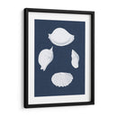 Cochillages Blancs I - Vision Studio | Cuadro decorativo de Canvas Lab