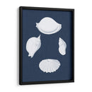 Cochillages Blancs I - Vision Studio | Cuadro decorativo de Canvas Lab