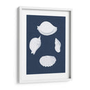 Cochillages Blancs I - Vision Studio | Cuadro decorativo de Canvas Lab