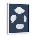 Cochillages Blancs I - Vision Studio | Cuadro decorativo de Canvas Lab