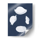 Cochillages Blancs I - Vision Studio | Cuadro decorativo de Canvas Lab