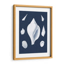Cochillages Blancs Ii - Vision Studio | Cuadro decorativo de Canvas Lab