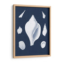 Cochillages Blancs Ii - Vision Studio | Cuadro decorativo de Canvas Lab