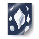 Cochillages Blancs Ii - Vision Studio | Cuadro decorativo de Canvas Lab