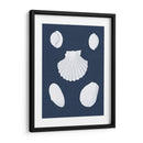 Cochillages Blancs Iii - Vision Studio | Cuadro decorativo de Canvas Lab