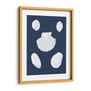 Cochillages Blancs Iii - Vision Studio | Cuadro decorativo de Canvas Lab