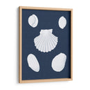 Cochillages Blancs Iii - Vision Studio | Cuadro decorativo de Canvas Lab