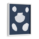 Cochillages Blancs Iii - Vision Studio | Cuadro decorativo de Canvas Lab