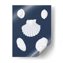Cochillages Blancs Iii - Vision Studio | Cuadro decorativo de Canvas Lab