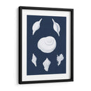 Cochillages Blancs Iv - Vision Studio | Cuadro decorativo de Canvas Lab