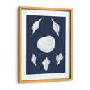 Cochillages Blancs Iv - Vision Studio | Cuadro decorativo de Canvas Lab