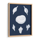 Cochillages Blancs Iv - Vision Studio | Cuadro decorativo de Canvas Lab