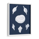 Cochillages Blancs Iv - Vision Studio | Cuadro decorativo de Canvas Lab