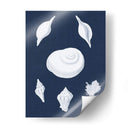 Cochillages Blancs Iv - Vision Studio | Cuadro decorativo de Canvas Lab