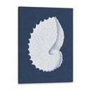 Coquillages Blancs V - Vision Studio | Cuadro decorativo de Canvas Lab