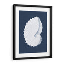 Coquillages Blancs V - Vision Studio | Cuadro decorativo de Canvas Lab