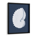Coquillages Blancs V - Vision Studio | Cuadro decorativo de Canvas Lab