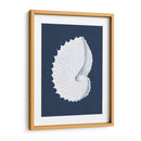 Coquillages Blancs V - Vision Studio | Cuadro decorativo de Canvas Lab